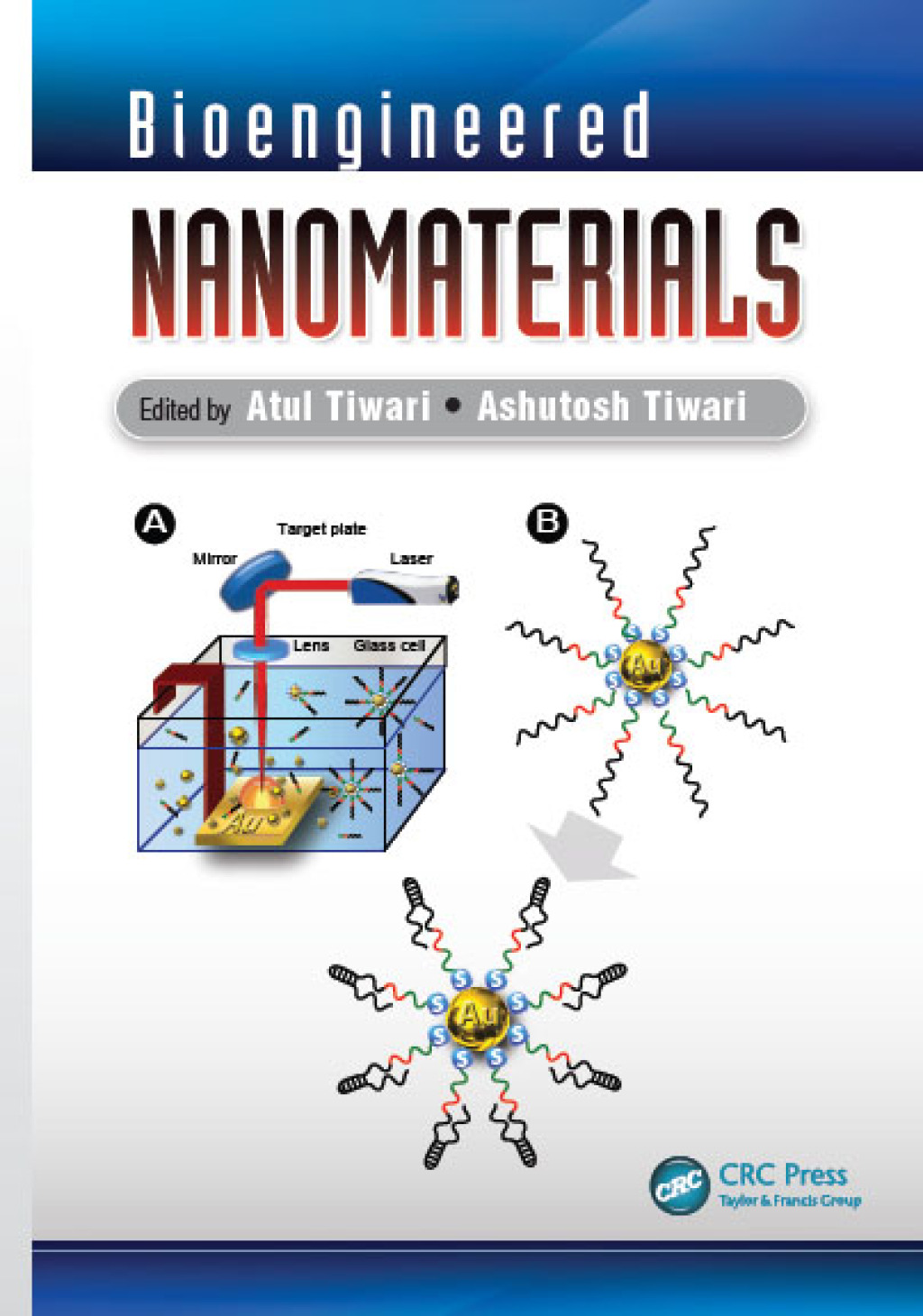 Bioengineered Nanomaterials 1st Edition â€“ PDF/EPUB Version Downloadable