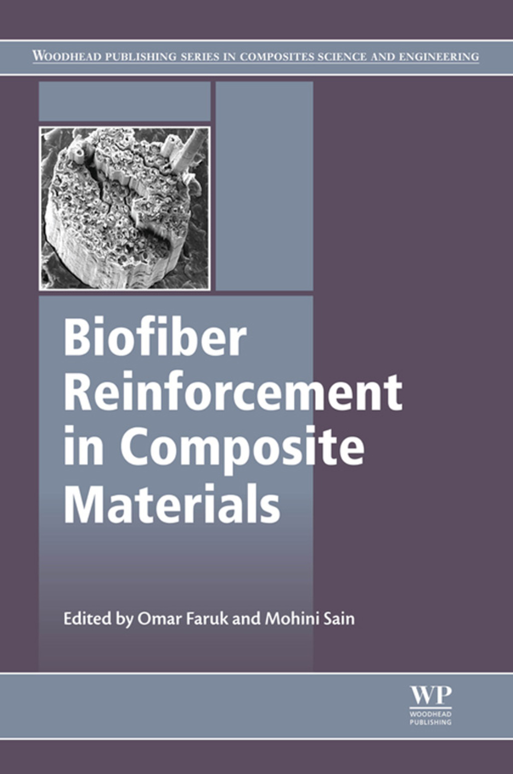 Biofiber Reinforcements in Composite Materials â€“ PDF/EPUB Version Downloadable