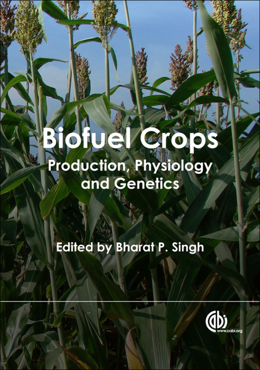 Biofuel Crops Production, Physiology and Genetics 1st Edition â€“ PDF/EPUB Version Downloadable
