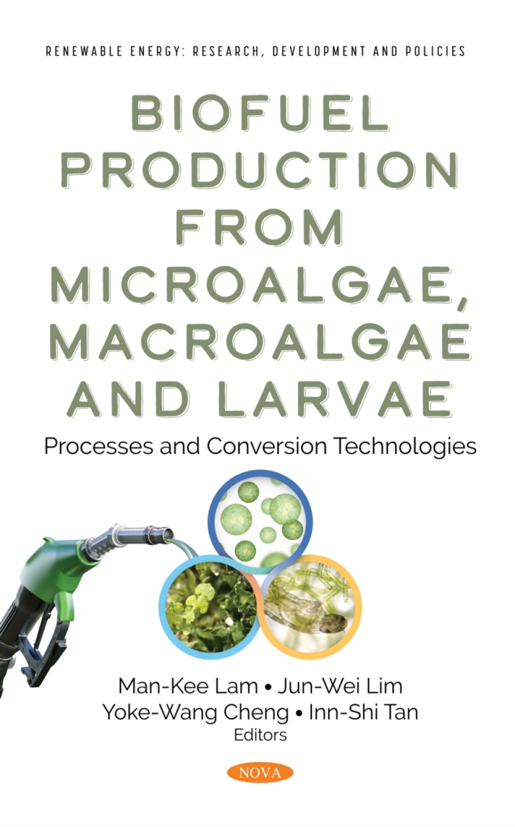 Biofuel Production from Microalgae, Macroalgae and Larvae: Processes and Conversion Technologies â€“ PDF/EPUB Version Downloadable