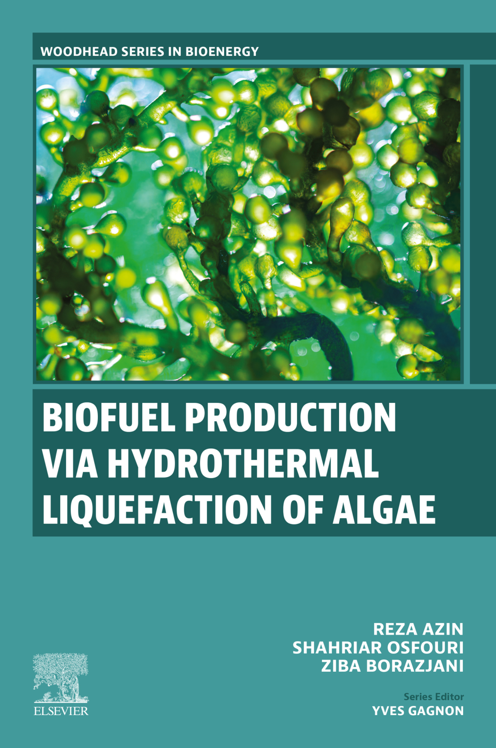 Biofuel Production via Hydrothermal Liquefaction of Algae â€“ PDF/EPUB Version Downloadable
