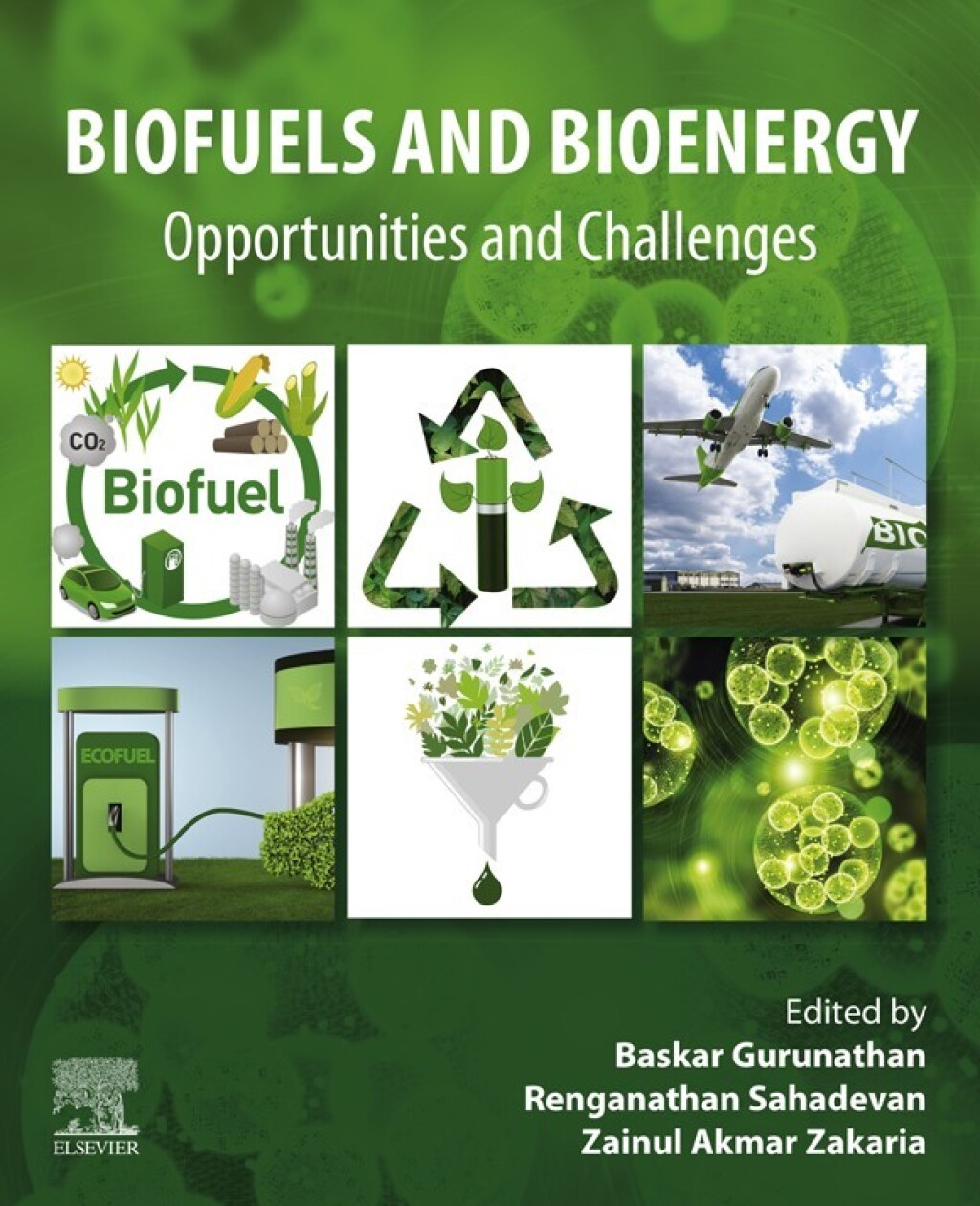 Biofuels and Bioenergy Opportunities and Challenges â€“ PDF/EPUB Version Downloadable