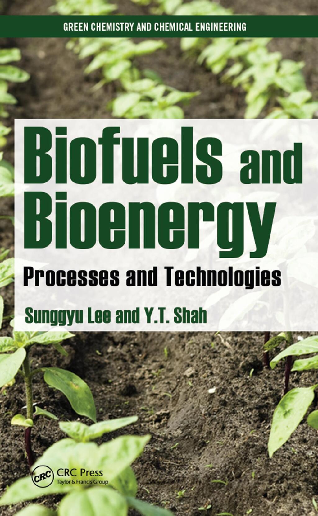 Biofuels and Bioenergy Processes and Technologies 1st Edition â€“ PDF/EPUB Version Downloadable