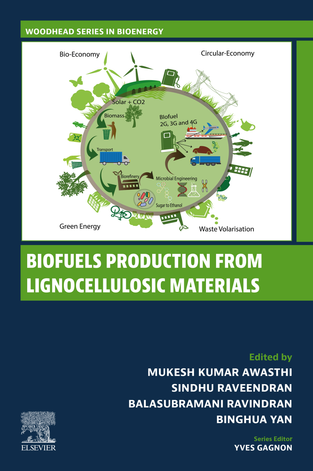 Biofuels Production from Lignocellulosic Materials â€“ PDF/EPUB Version Downloadable