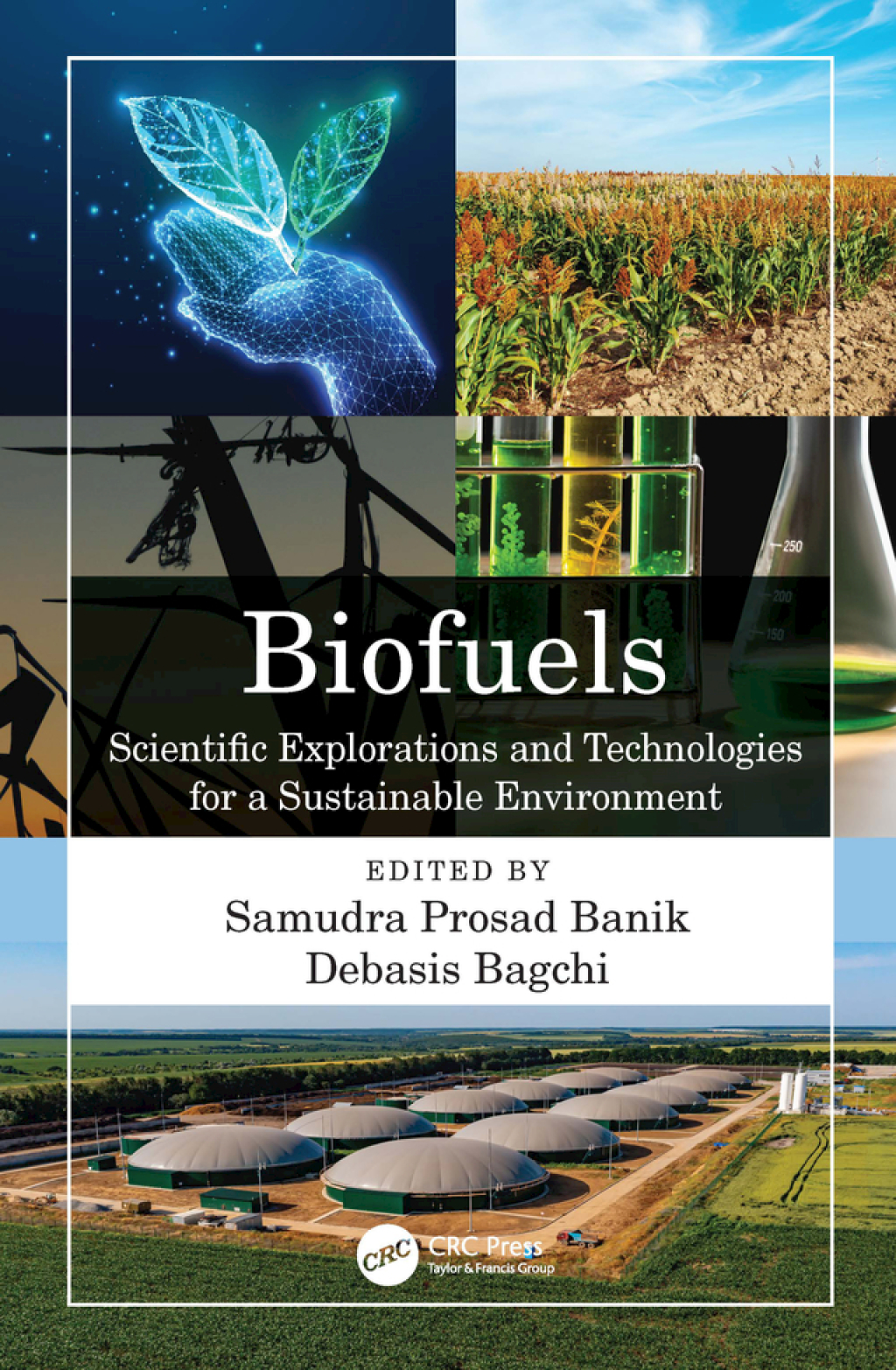 Biofuels Scientific Explorations and Technologies for a Sustainable Environment 1st Edition â€“ PDF/EPUB Version Downloadable