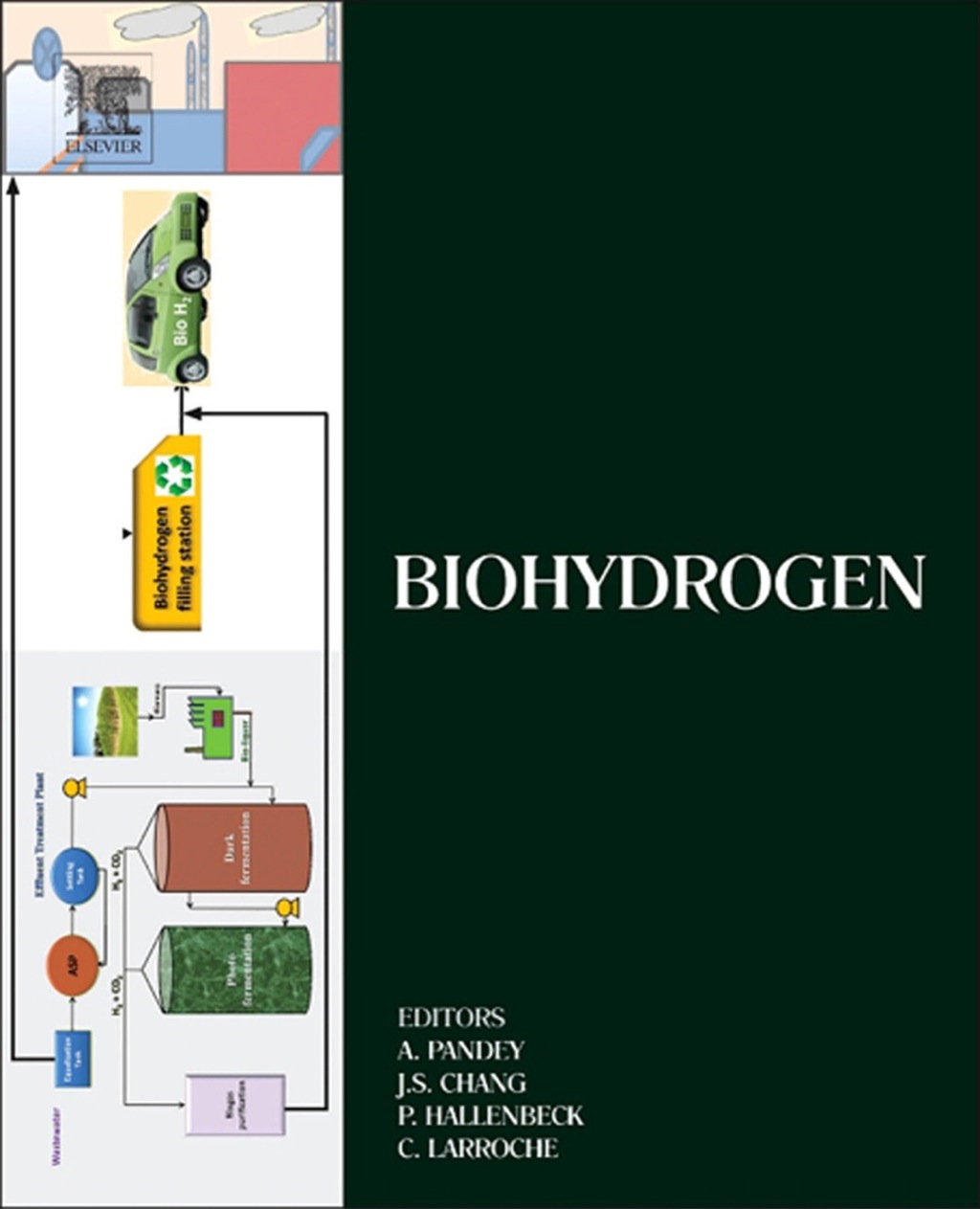 Biohydrogen 1st Edition – PDF/EPUB Version Downloadable Biohydrogen 1st Edition – PDF/EPUB Version Downloadable - Image 1