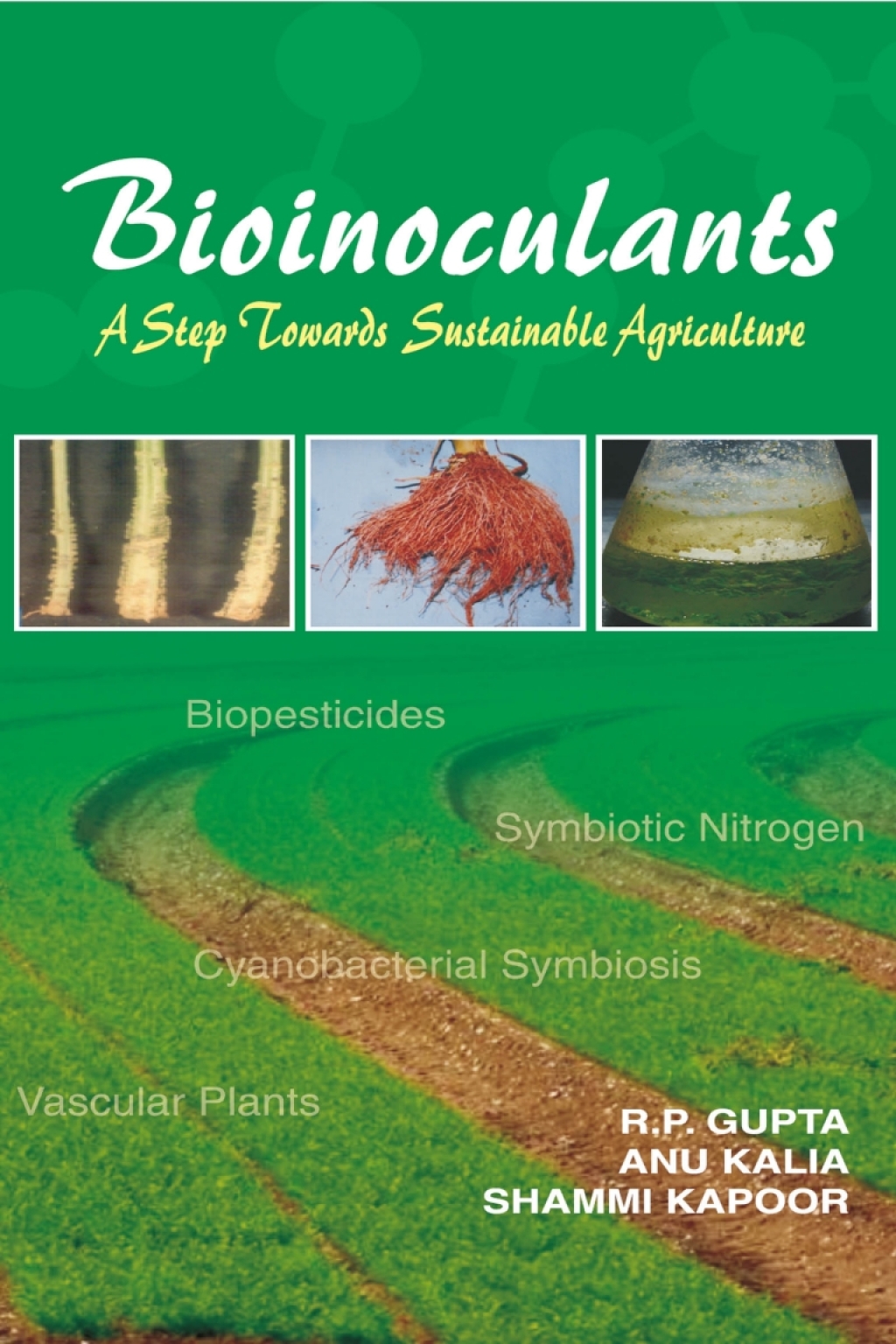 Bioinoculants: A Step Towards Sustainable Agriculture 1st Edition â€“ PDF/EPUB Version Downloadable