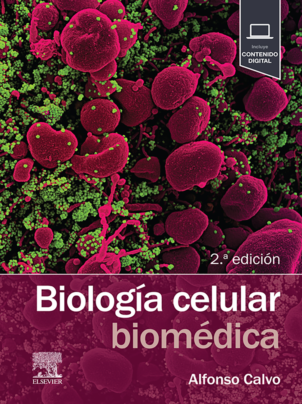 BiologÃ­a celular biomÃ©dica 2nd Edition â€“ PDF/EPUB Version Downloadable