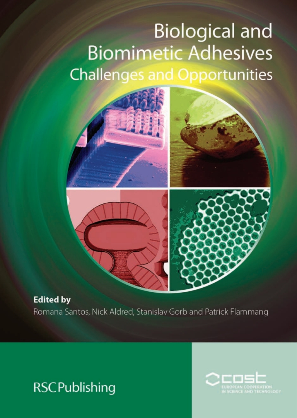 Biological and Biomimetic Adhesives Challenges and Opportunities 1st Edition â€“ PDF/EPUB Version Downloadable