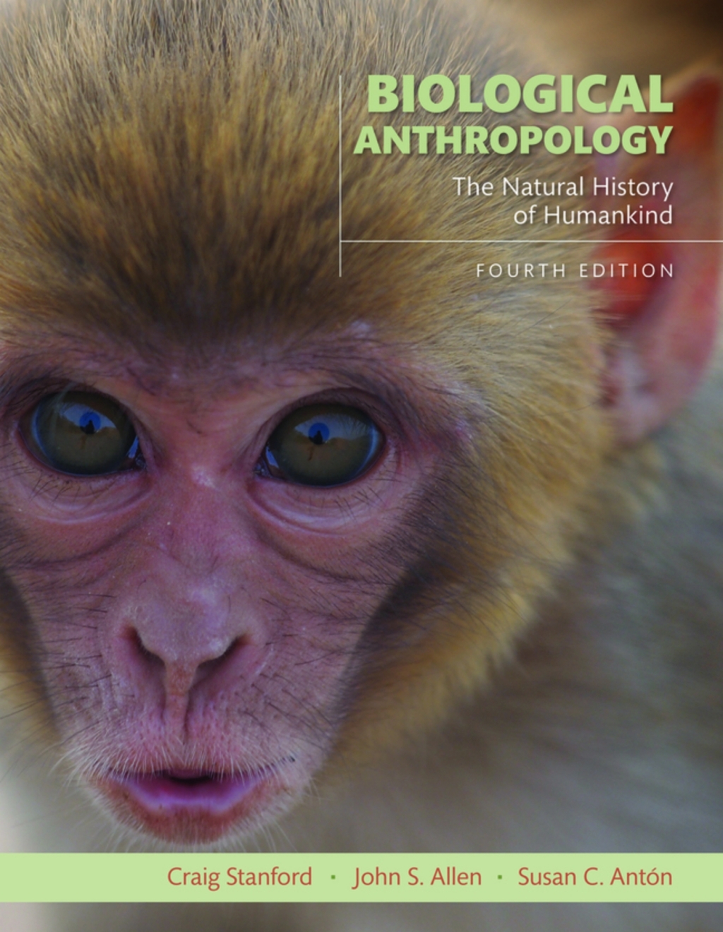 Biological Anthropology: The Natural History of Humankind (Pearson+) 4th Edition â€“ PDF/EPUB Version Downloadable