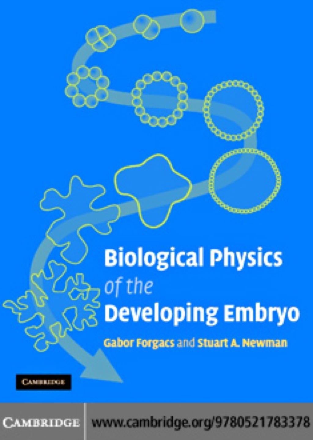 Biological Physics of the Developing Embryo 1st Edition â€“ PDF/EPUB Version Downloadable