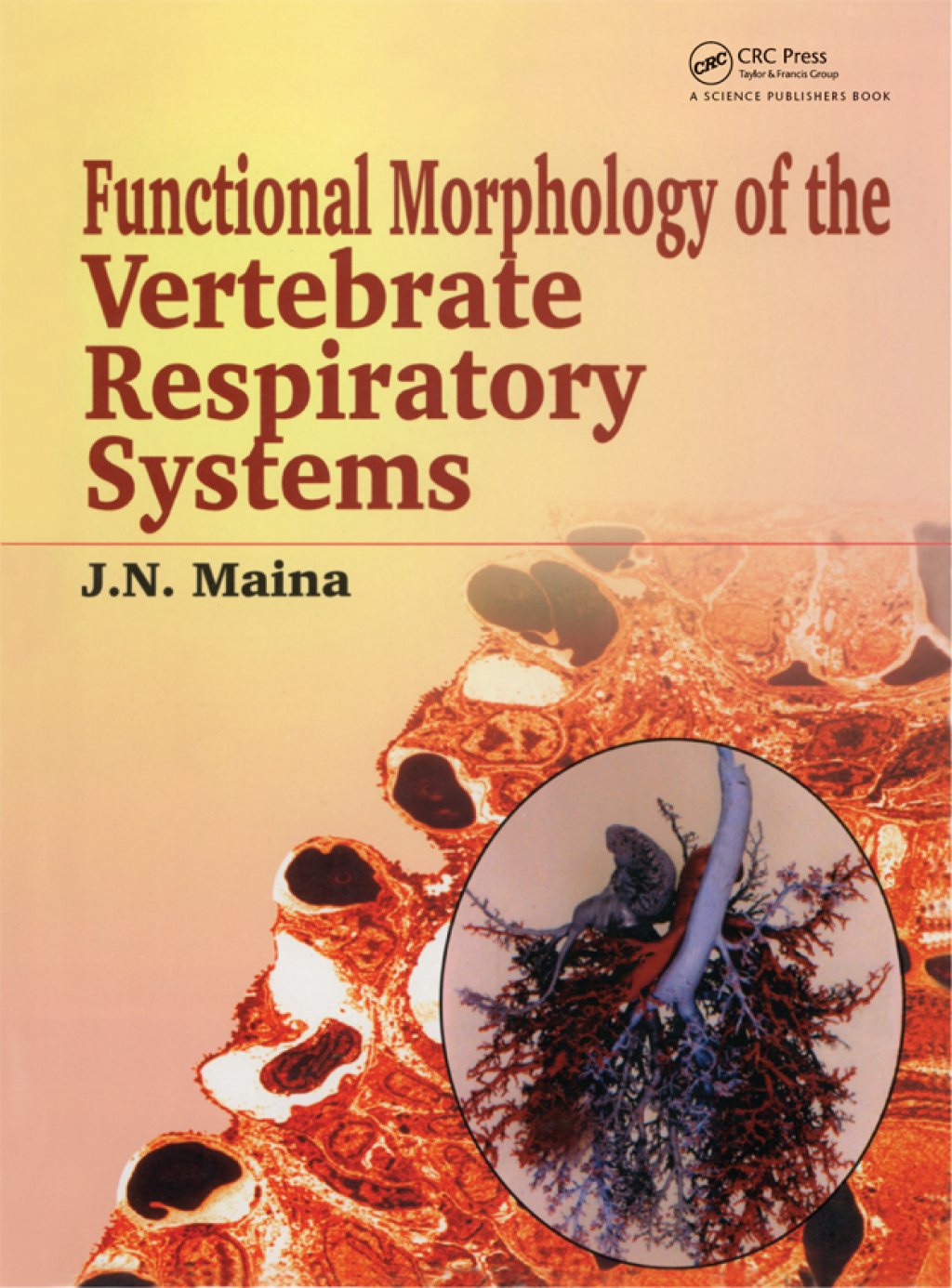 Biological Systems in Vertebrates, Vol. 1 Functional Morphology of the Vertebrate Respiratory Systems 1st Edition â€“ PDF/EPUB Version Downloadable