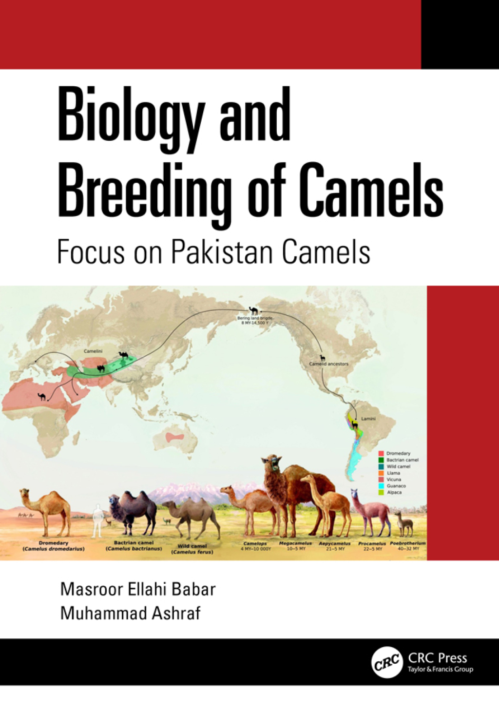 Biology and Breeding of Camels Focus on Pakistan Camels 1st Edition â€“ PDF/EPUB Version Downloadable