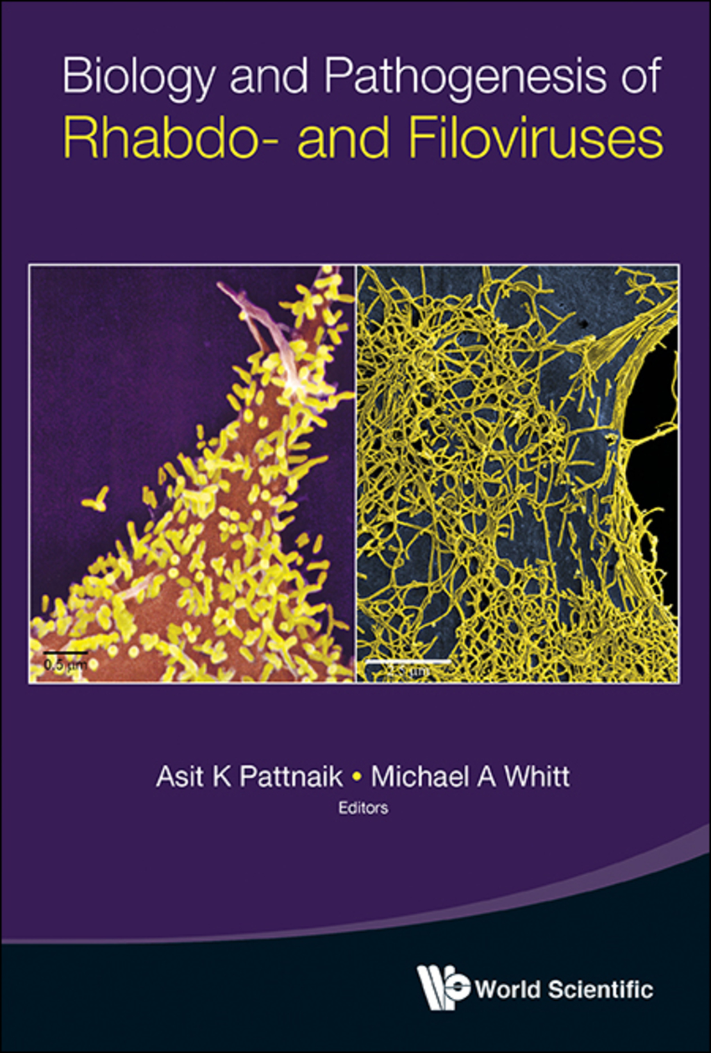Biology and Pathogenesis of Rhabdo- and Filoviruses  â€“ PDF/EPUB Version Downloadable
