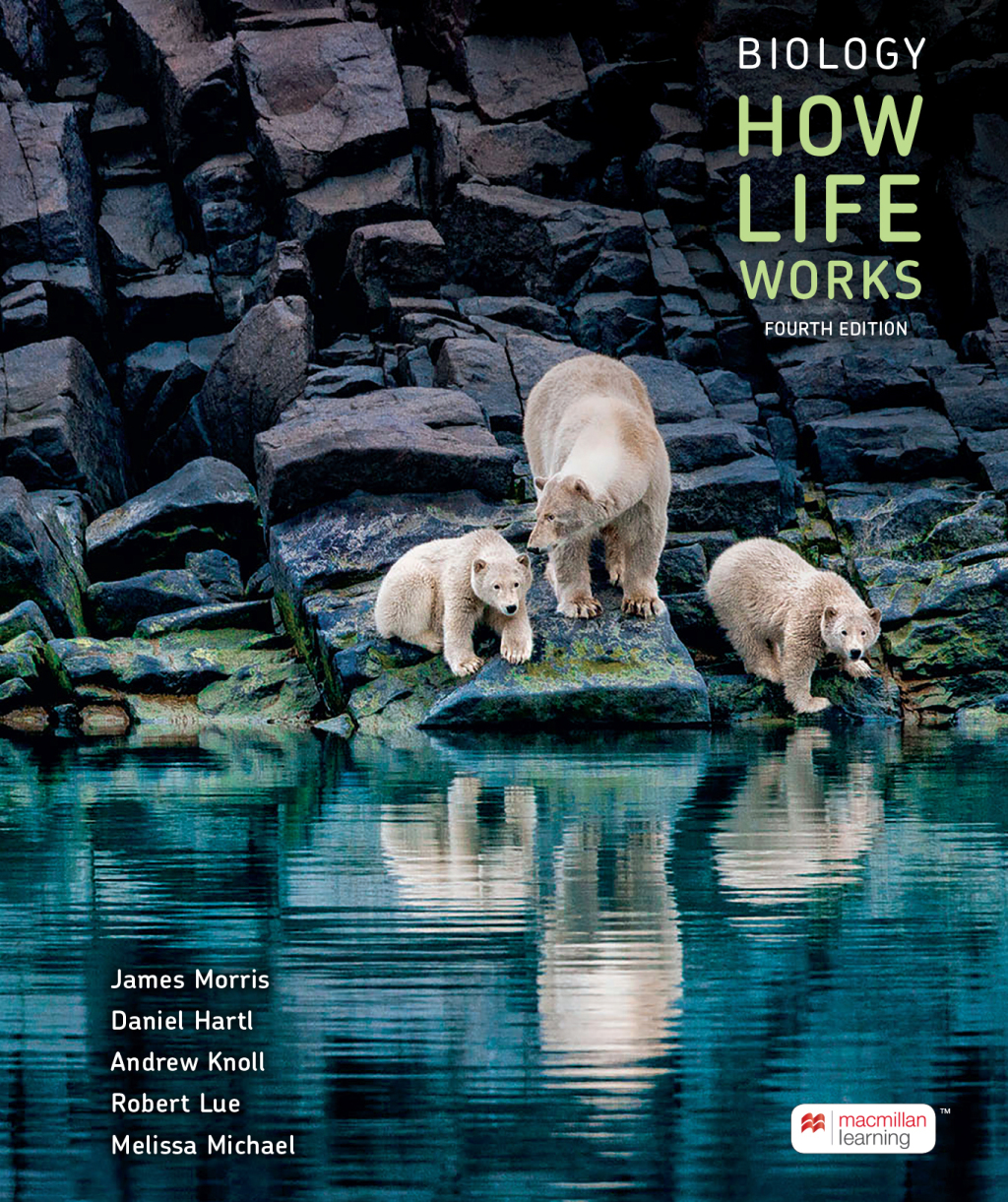 Biology: How Life Works 4th Edition â€“ PDF/EPUB Version Downloadable