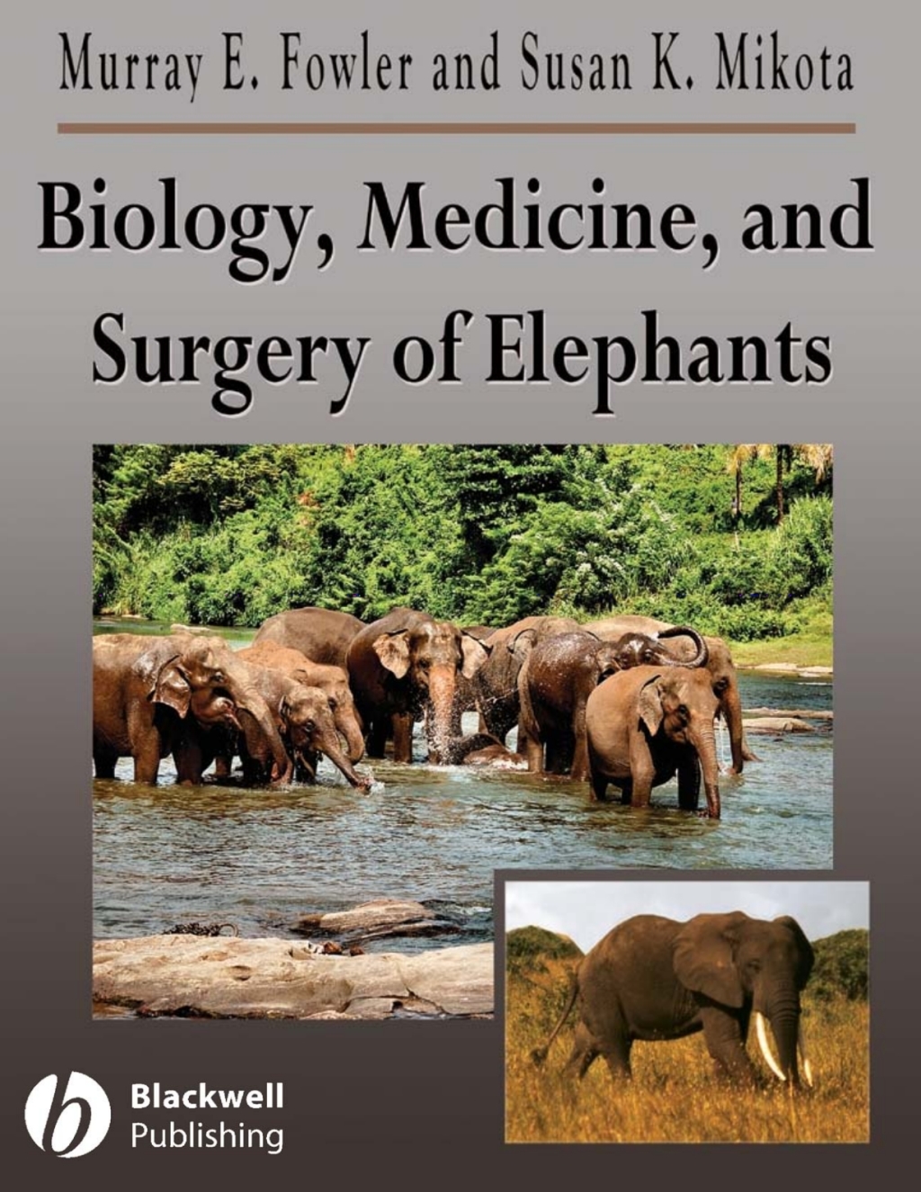 Biology, Medicine, and Surgery of Elephants 1st Edition â€“ PDF/EPUB Version Downloadable