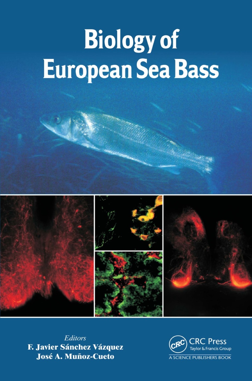 Biology of European Sea Bass 1st Edition â€“ PDF/EPUB Version Downloadable