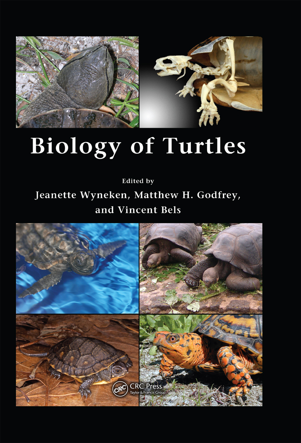 Biology of Turtles From Structures to Strategies of Life 1st Edition â€“ PDF/EPUB Version Downloadable