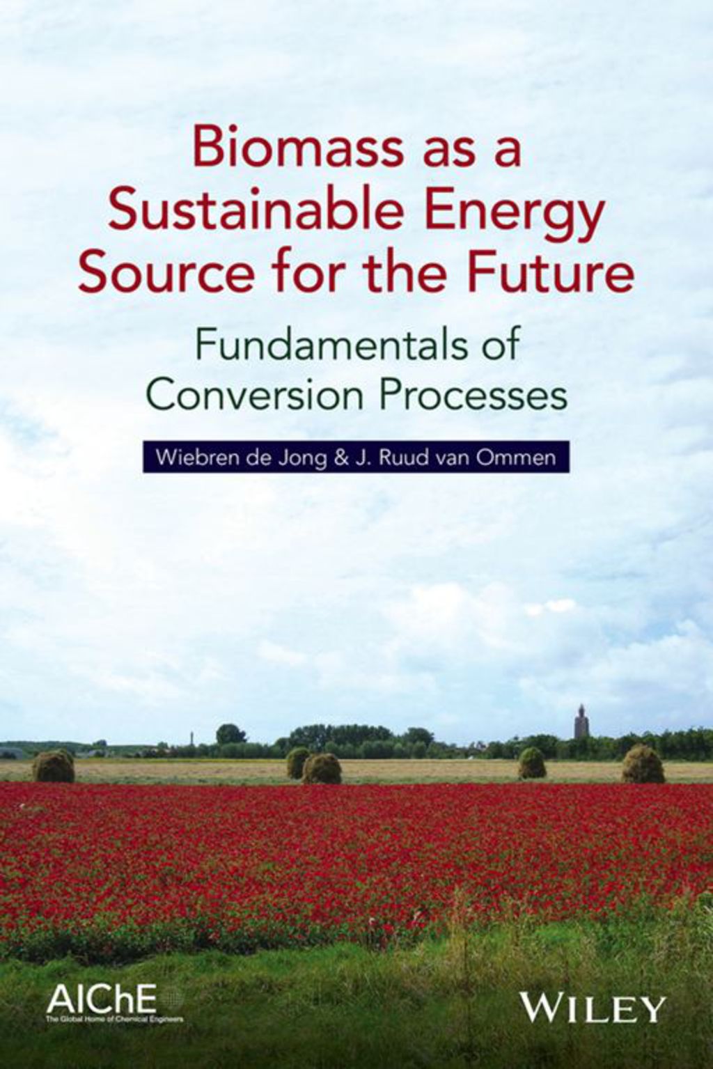 Biomass as a Sustainable Energy Source for the Future Fundamentals of ...