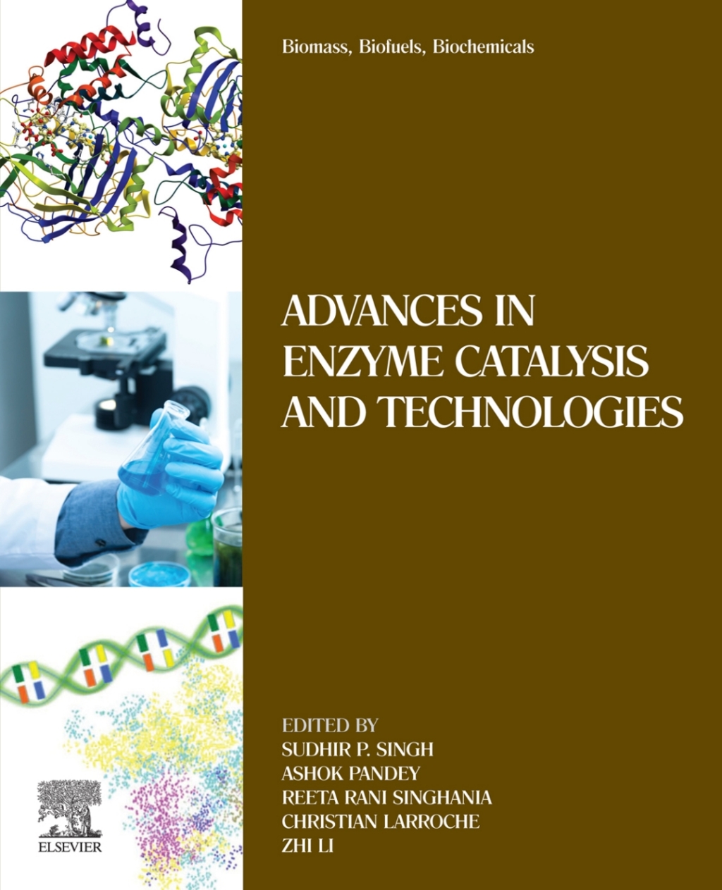 Biomass, Biofuels, Biochemicals Advances in Enzyme Catalysis and Technologies 1st Edition â€“ PDF/EPUB Version Downloadable