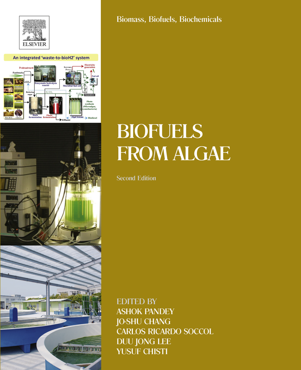 Biomass, Biofuels, Biochemicals Biofuels from Algae 2nd Edition â€“ PDF/EPUB Version Downloadable