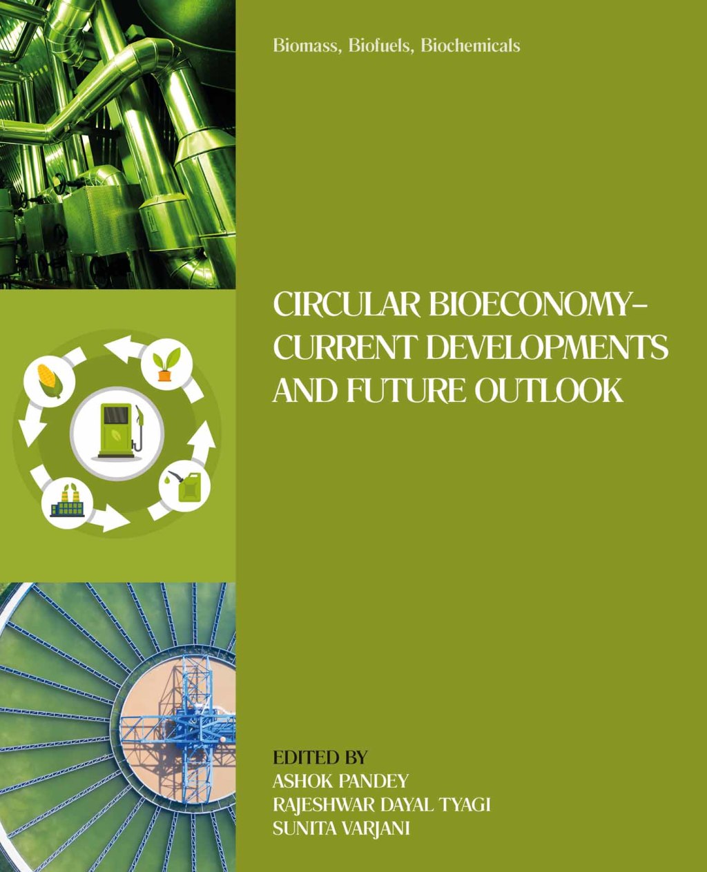 Biomass, Biofuels, Biochemicals Circular Bioeconomyâ€”Current Developments and Future Outlook â€“ PDF/EPUB Version Downloadable
