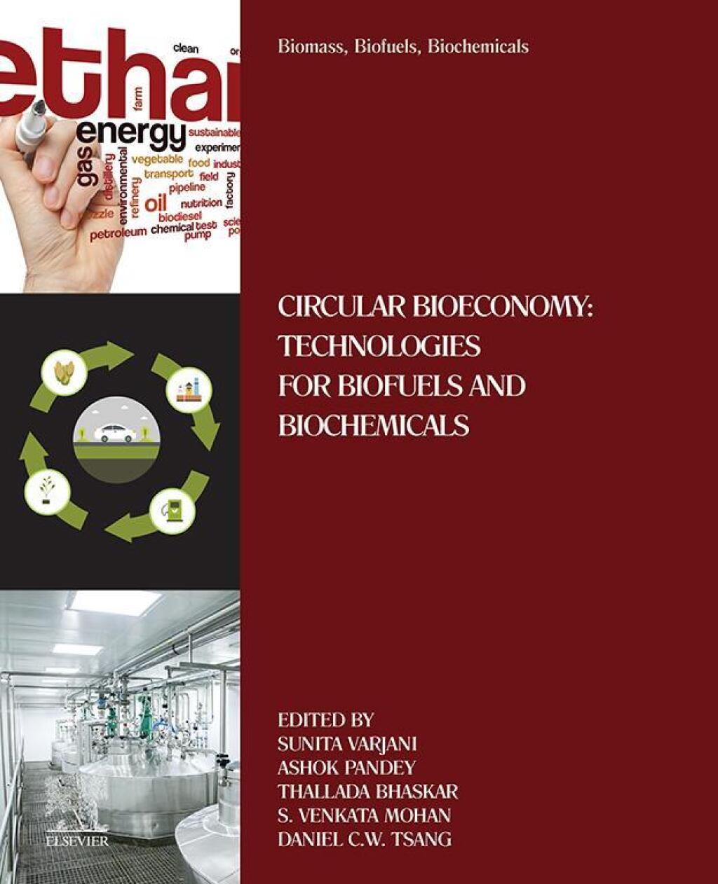 Biomass, Biofuels, Biochemicals Circular Bioeconomy: Technologies for Biofuels and Biochemicals â€“ PDF/EPUB Version Downloadable