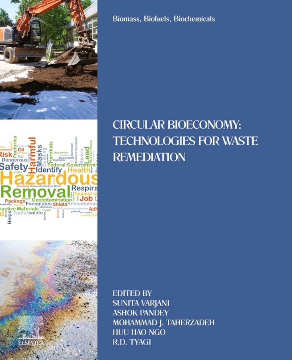 Biomass, Biofuels, Biochemicals Circular Bioeconomy: Technologies for Waste Remediation â€“ PDF/EPUB Version Downloadable