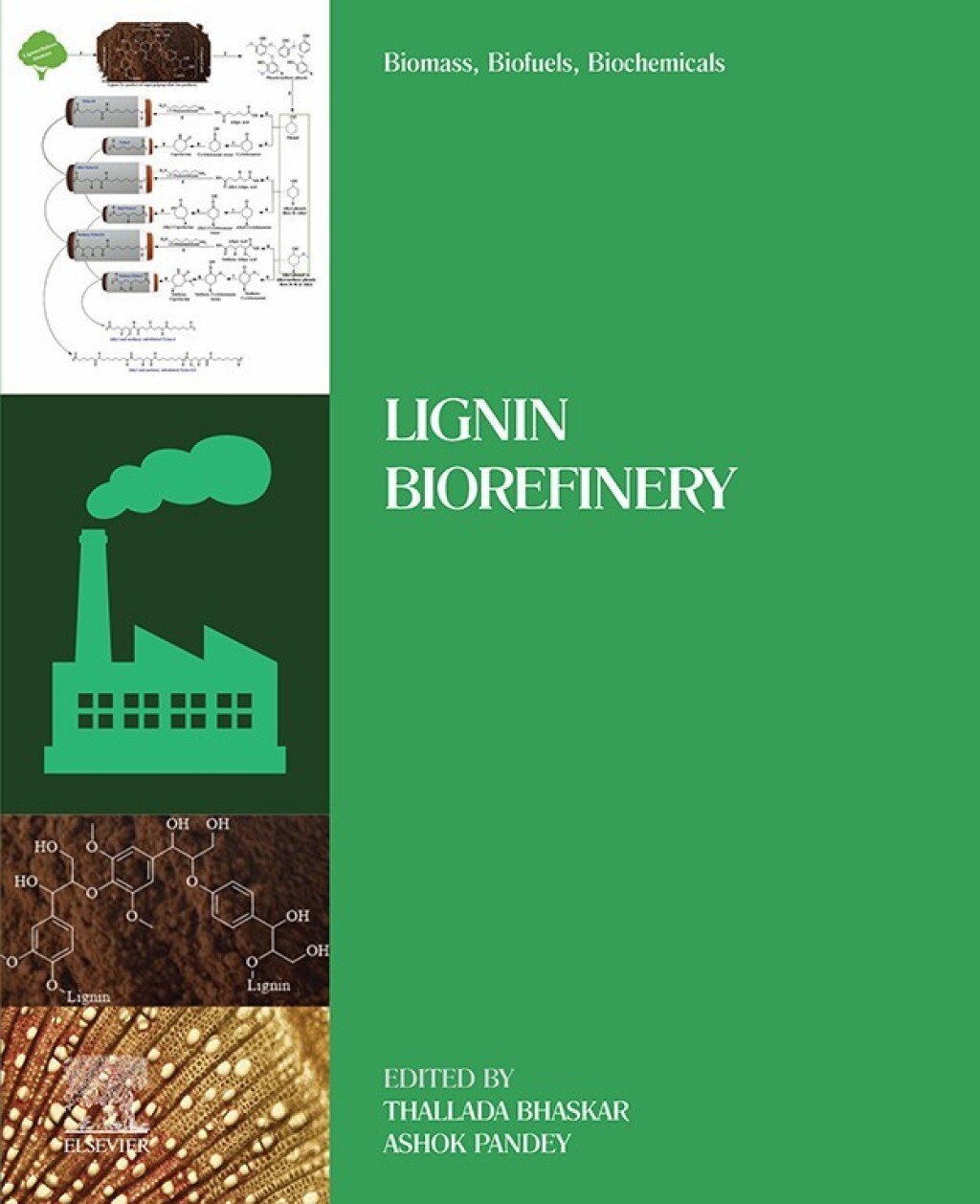 Biomass, Biofuels, Biochemicals Lignin Biorefinery â€“ PDF/EPUB Version Downloadable