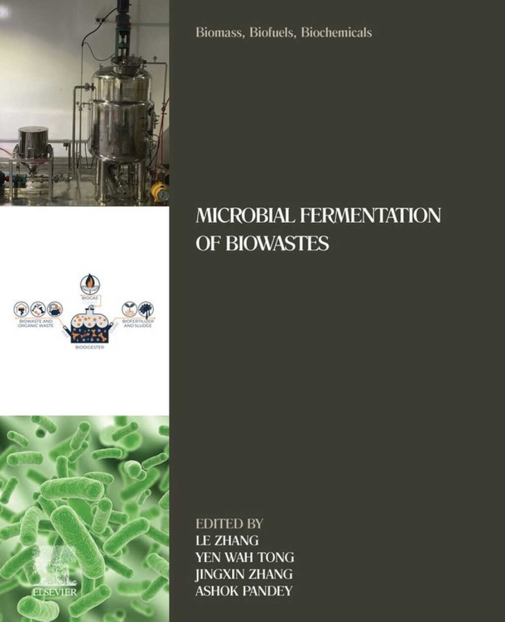 Biomass, Biofuels, Biochemicals Microbial Fermentation of Biowastes â€“ PDF/EPUB Version Downloadable