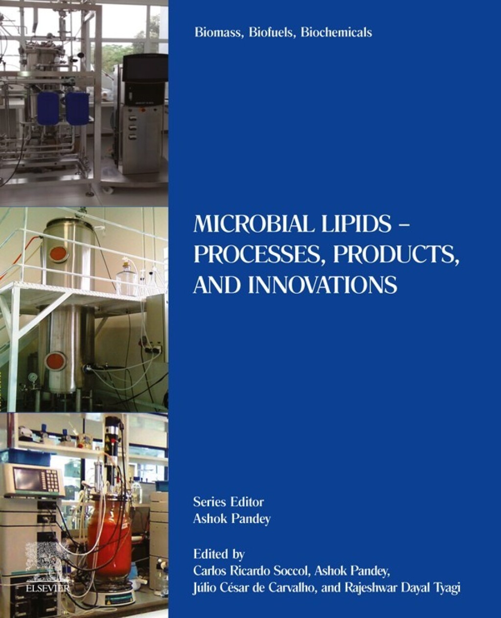 Biomass, Biofuels, Biochemicals Microbial Lipids - Processes, Products, and Innovations â€“ PDF/EPUB Version Downloadable