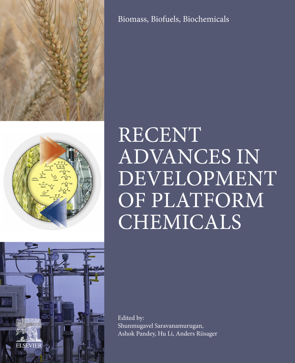 Biomass, Biofuels, Biochemicals Recent Advances in Development of Platform Chemicals â€“ PDF/EPUB Version Downloadable