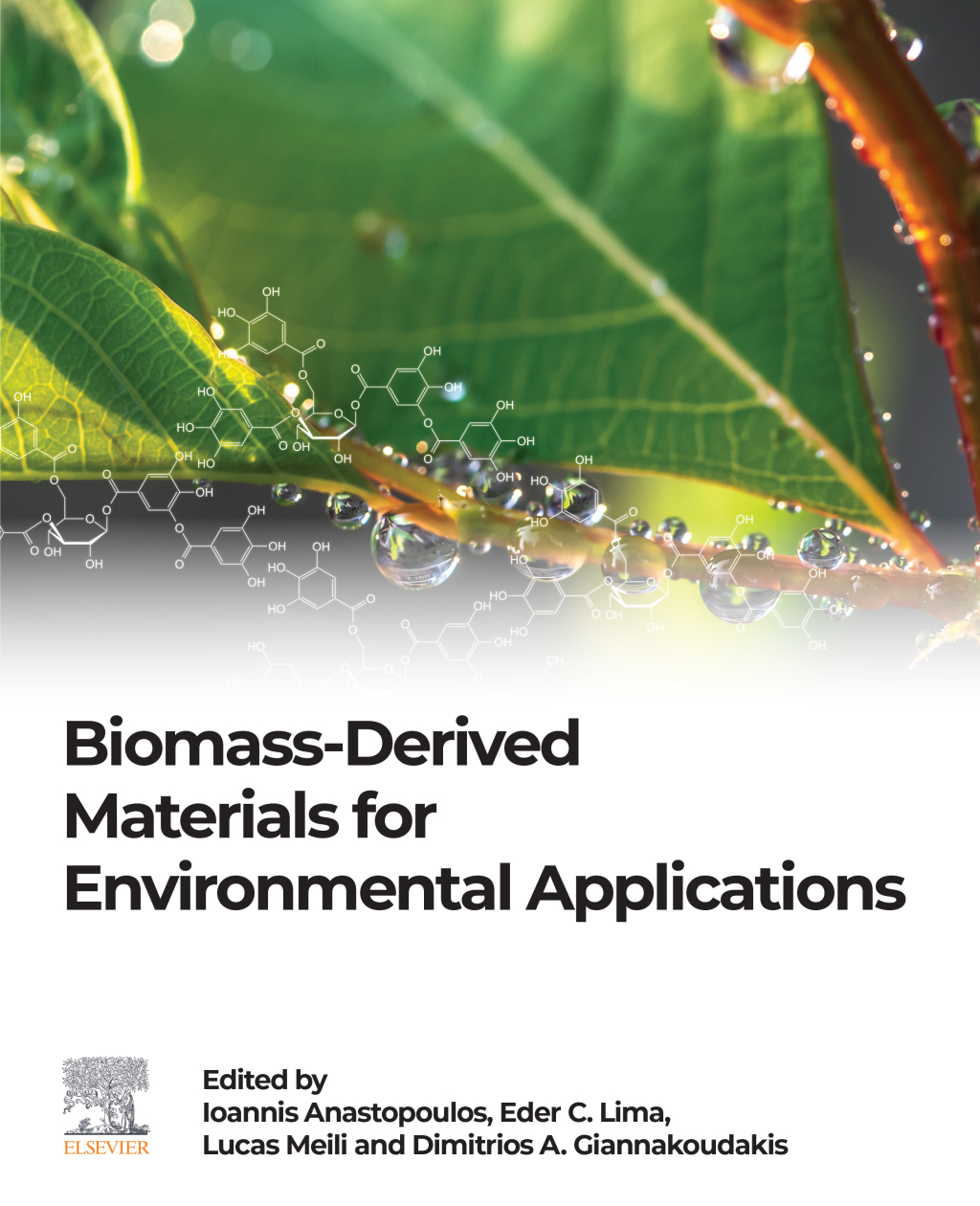 Biomass-Derived Materials for Environmental Applications â€“ PDF/EPUB Version Downloadable