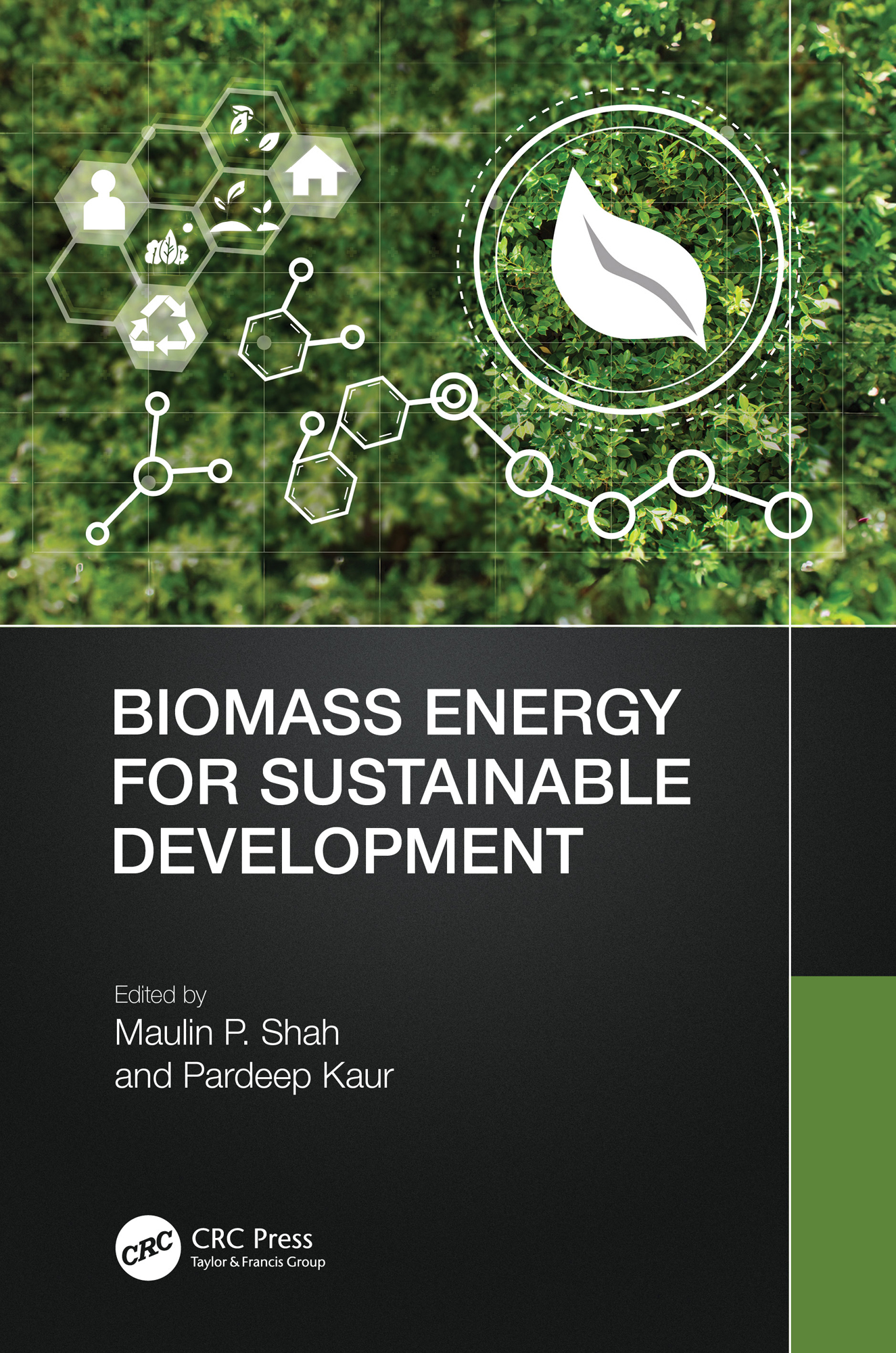Biomass Energy for Sustainable Development 1st Edition â€“ PDF/EPUB Version Downloadable