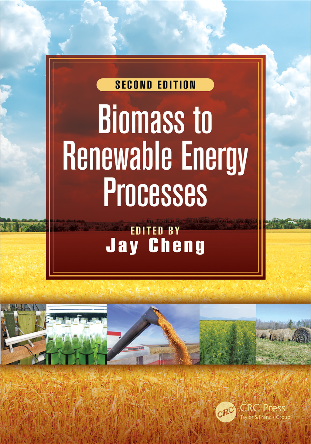Biomass to Renewable Energy Processes 2nd Edition â€“ PDF/EPUB Version Downloadable