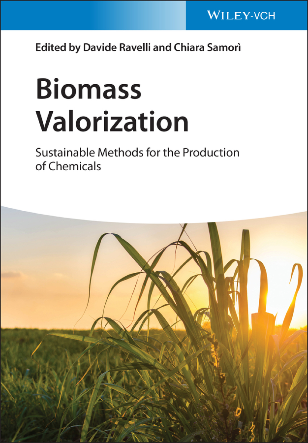 Biomass Valorization Sustainable Methods for the Production of Chemicals 1st Edition â€“ PDF/EPUB Version Downloadable