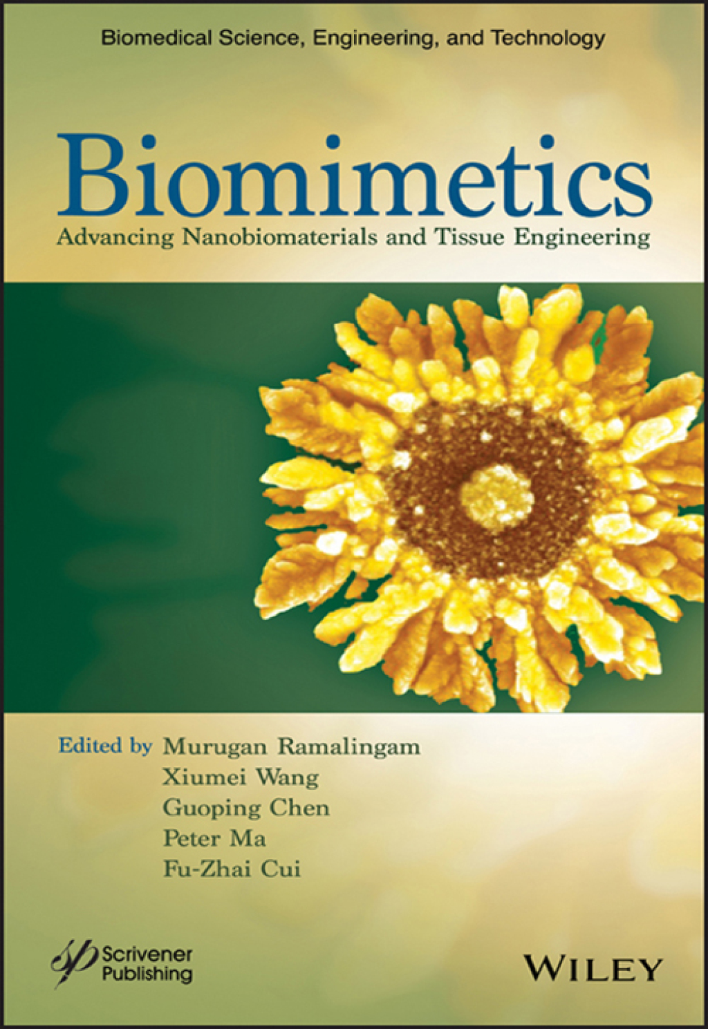 Biomimetics Advancing Nanobiomaterials and Tissue Engineering 1st Edition â€“ PDF/EPUB Version Downloadable