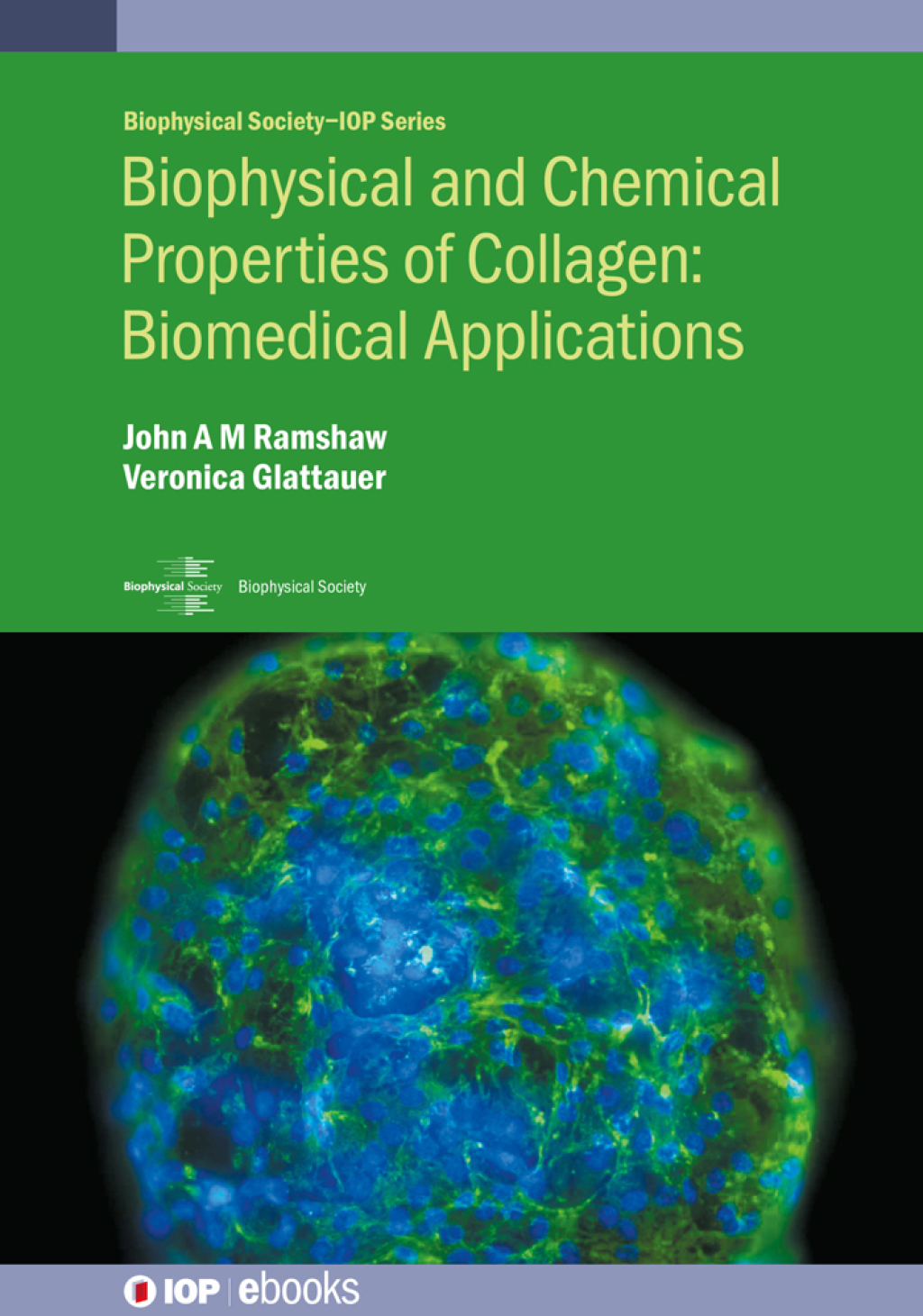 Biophysical and Chemical Properties of Collagen: Biomedical ...