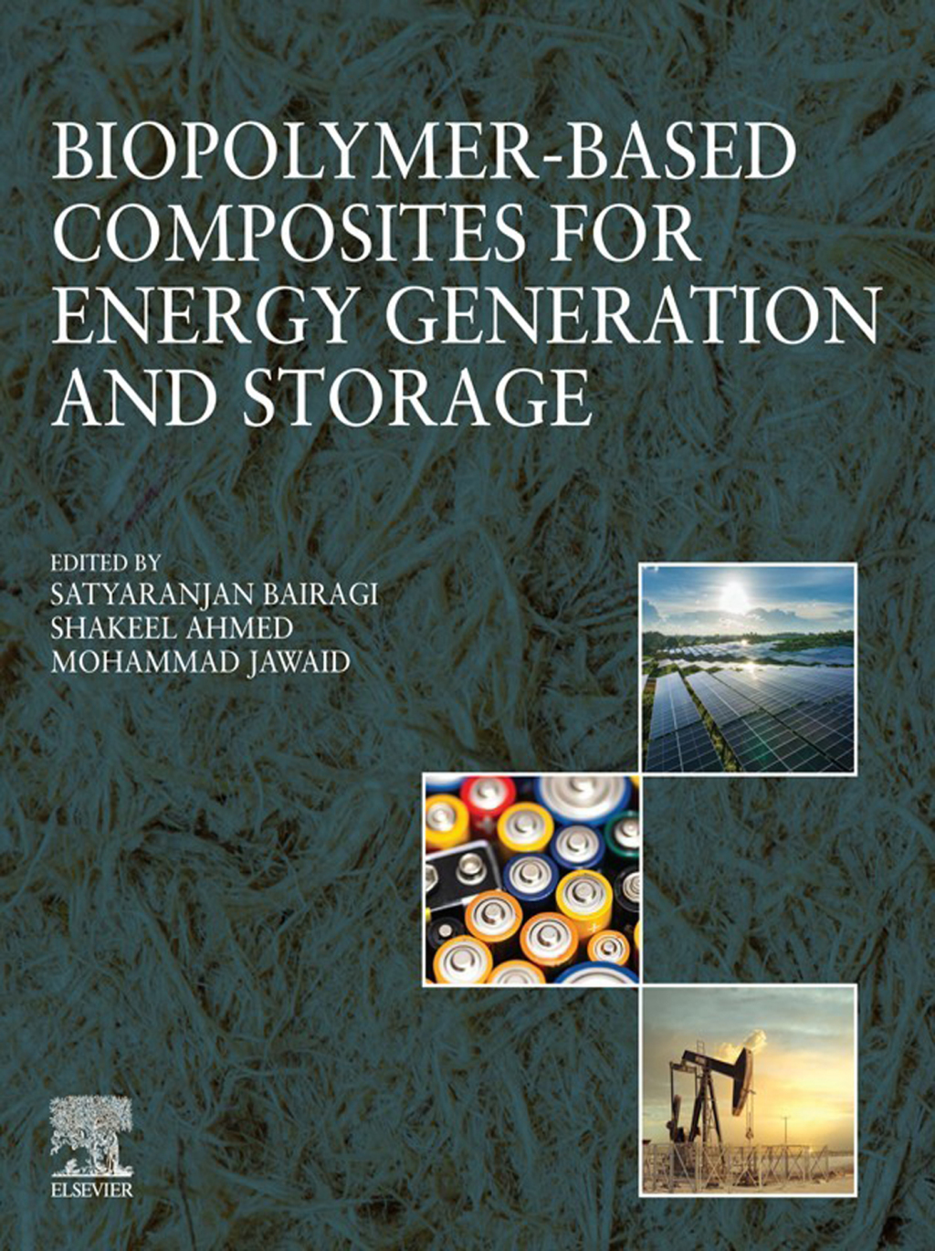 Biopolymer-based Composites for Energy Generation and Storage â€“ PDF/EPUB Version Downloadable