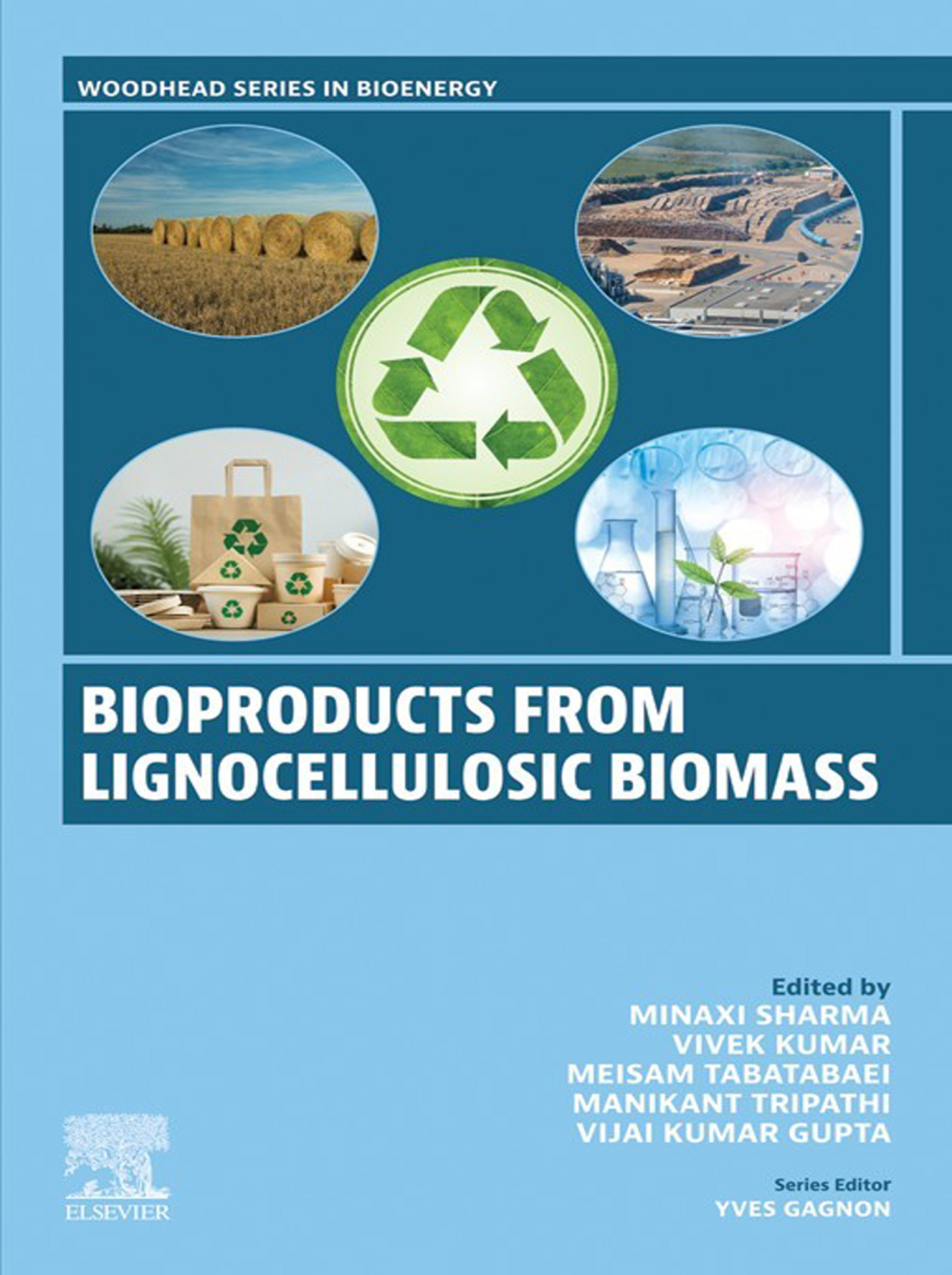 Bioproducts from Lignocellulosic Biomass Volume 1: Bioproducts â€“ PDF/EPUB Version Downloadable