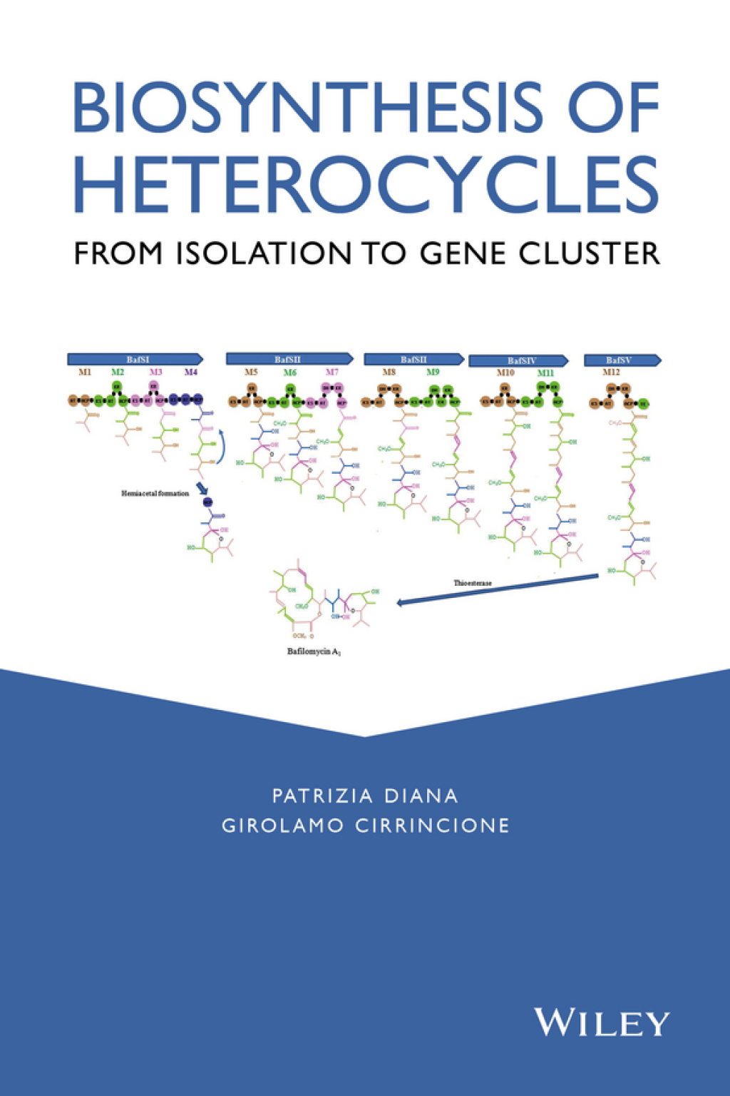 Biosynthesis of Heterocycles: From Isolation to Gene Cluster From Isolation to Gene Cluster 1st Edition â€“ PDF/EPUB Version Downloadable