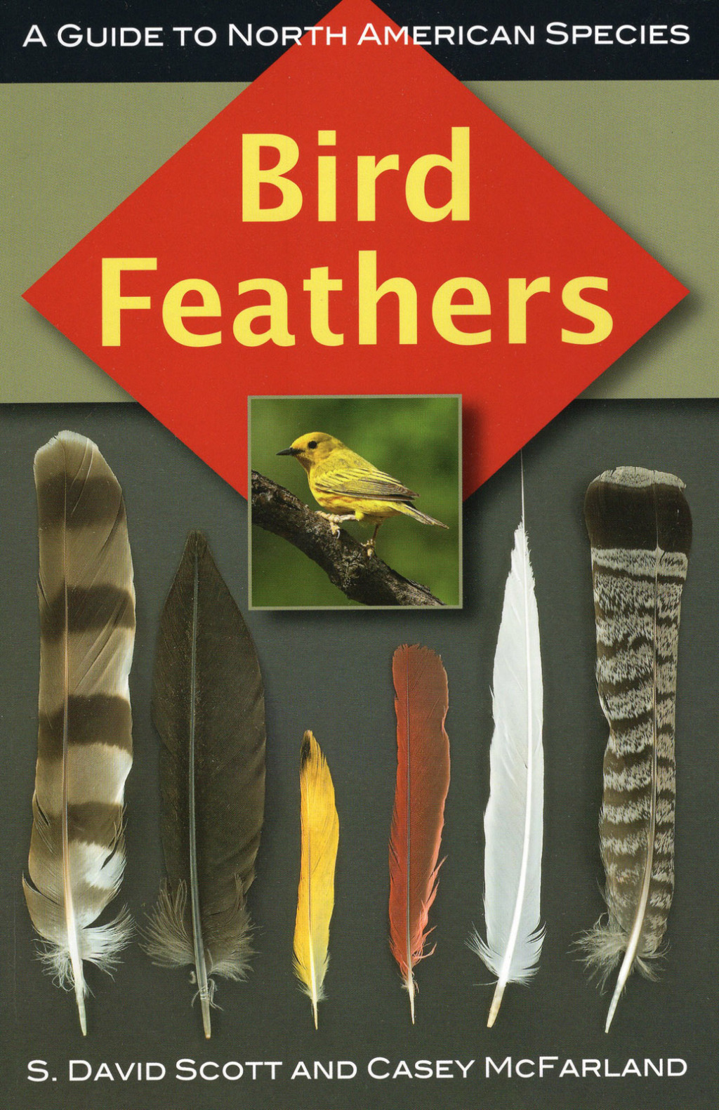 Bird Feathers A Guide to North American Species - (PDF/EPUB Version)