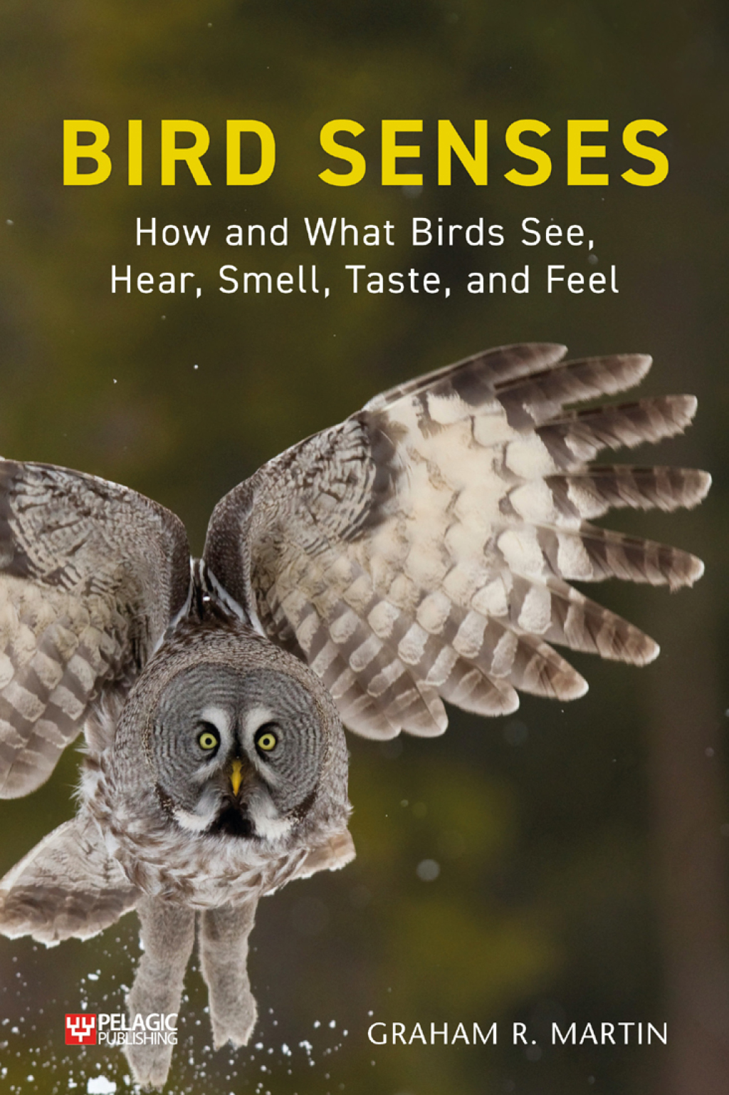 Bird Senses How and What Birds See, Hear, Smell, Taste and Feel 1st Edition â€“ PDF/EPUB Version Downloadable