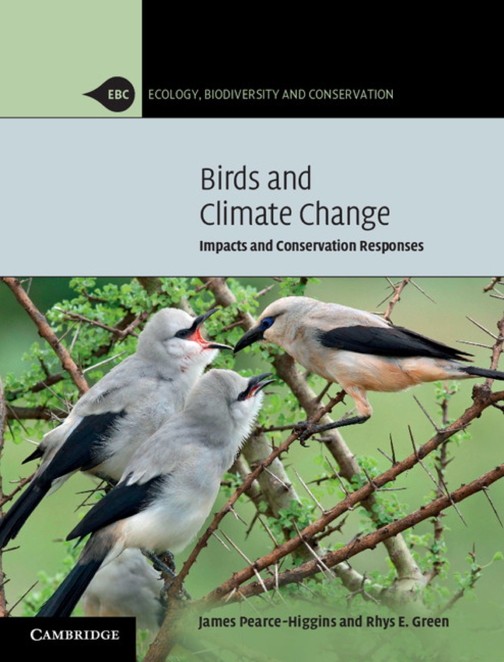 Birds and Climate Change Impacts and Conservation Responses 1st Edition â€“ PDF/EPUB Version Downloadable