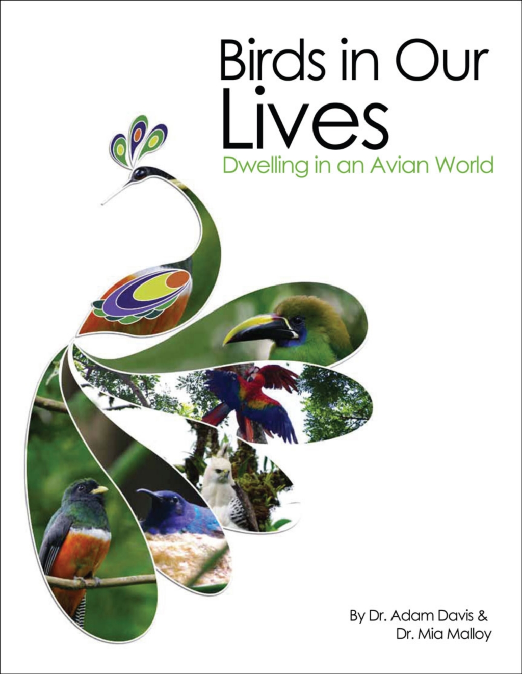 Birds in Our Lives â€“ PDF/EPUB Version Downloadable
