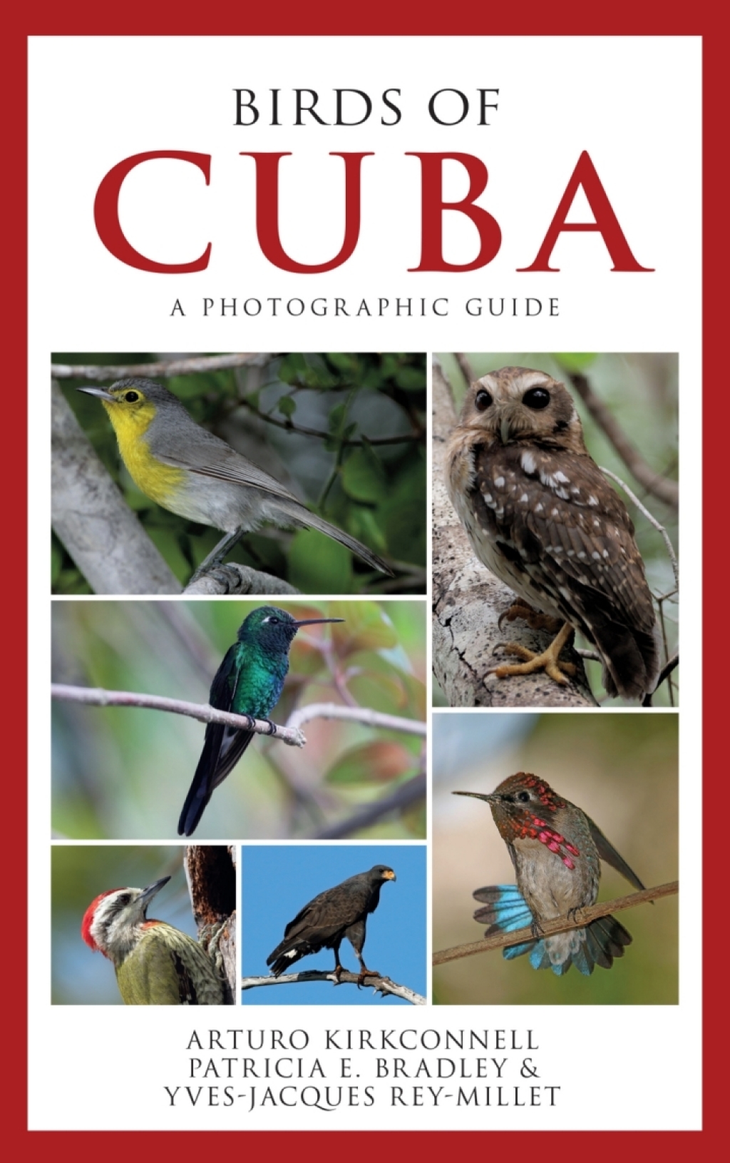 Birds of Cuba A Photographic Guide â€“ PDF/EPUB Version Downloadable