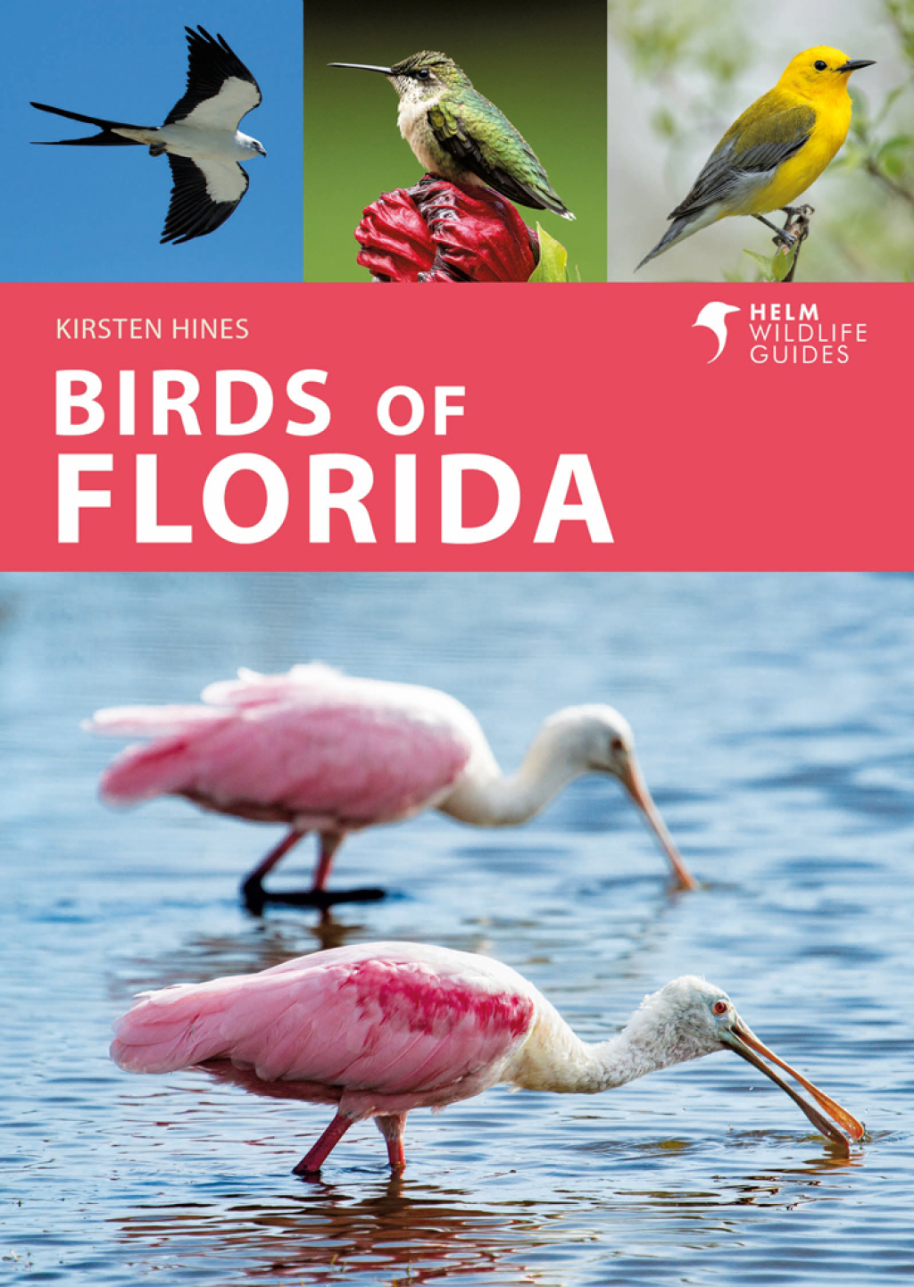 Birds of Florida 1st Edition - (PDF/EPUB Version)