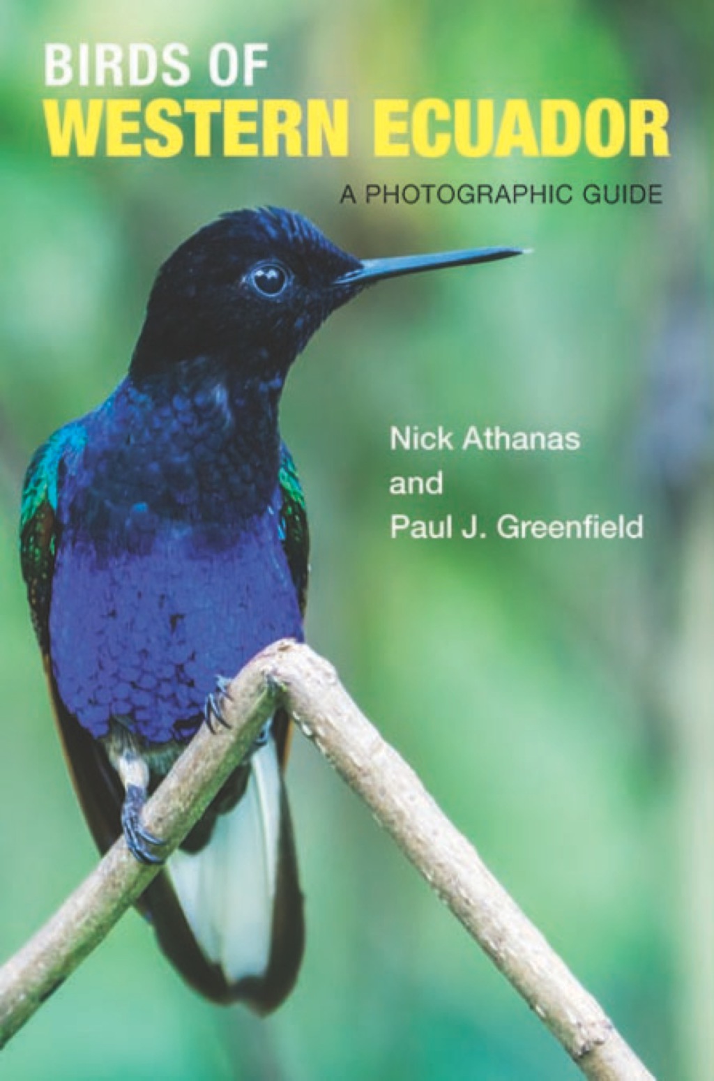 Birds of Western Ecuador A Photographic Guide  â€“ PDF/EPUB Version Downloadable