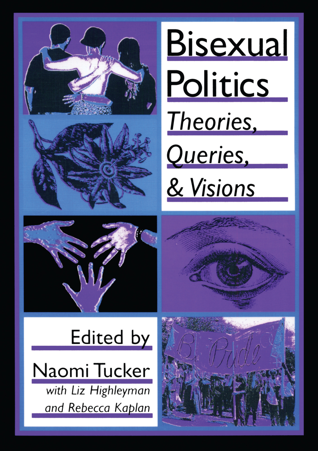 Bisexual Politics Theories, Queries, and Visions 1st Edition â€“ PDF/EPUB Version Downloadable