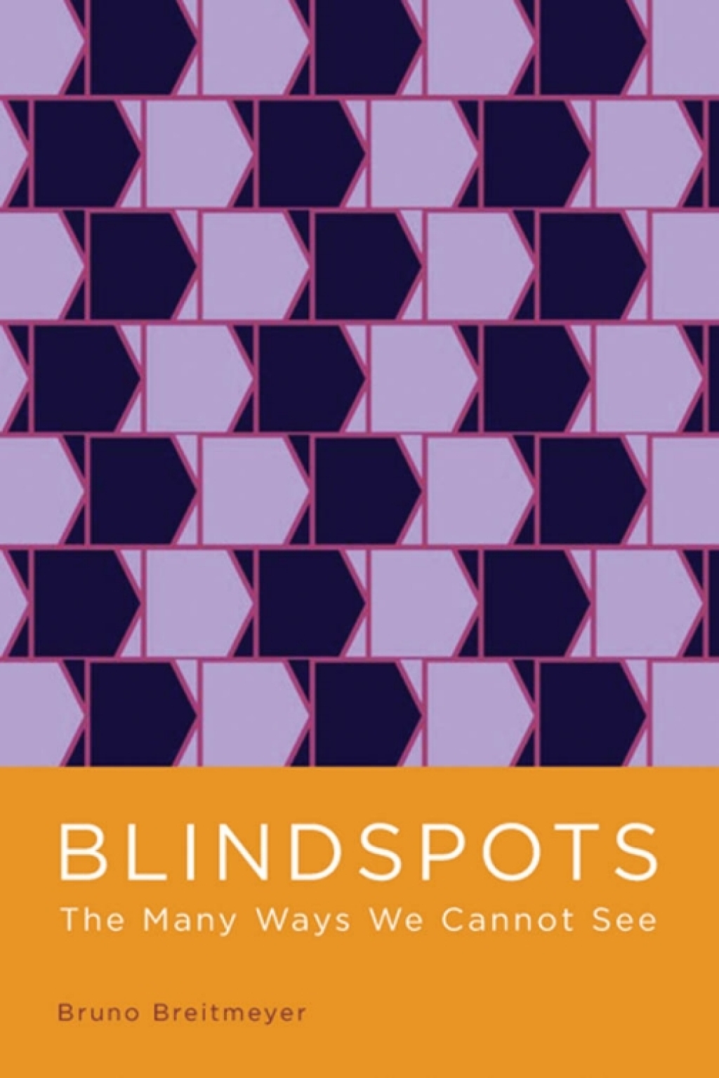 Blindspots The Many Ways We Cannot See  â€“ PDF/EPUB Version Downloadable